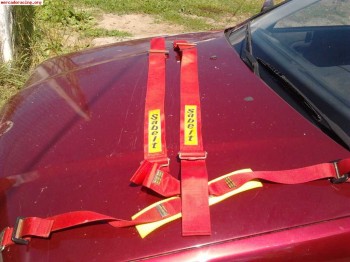 Pareja de arneses sabelt