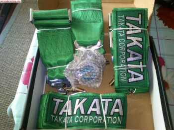 Arneses 4 puntos 55€