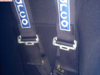 Venta de arneses esparco de 4 puntos