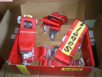 Arneses sabelt 6 puntos hasta 2018