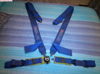 Arnes sparco cuatro puntos