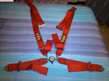 Arnes omp cuatro puntos