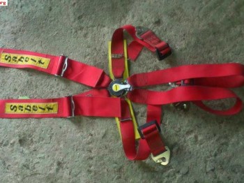 Arnes 6 puntos caducado