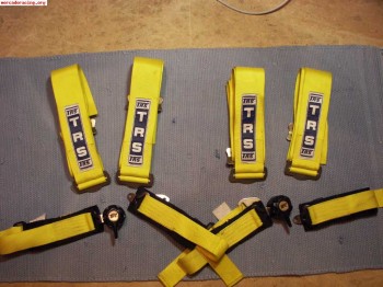 Pareja arneses trs anchos caducados