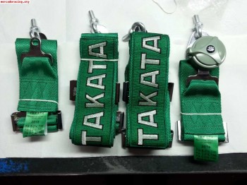 Pareja arnes takata 4pts 3 