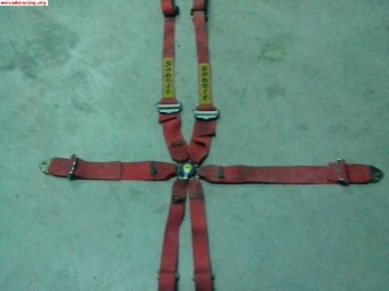 Arnes 6 puntos especial hans