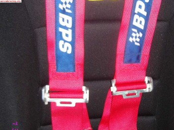 Vendo arnes homologados