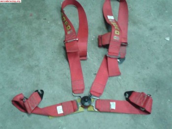 Se venden 2 arneses caducados