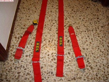Vendo arnes omp 4 puntos de los nchos
