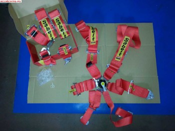 Arneses sabelt 6 pts 3 