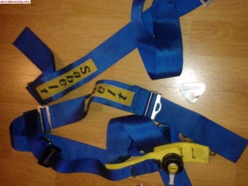 Arnese sabelt de 4 puntos caducado