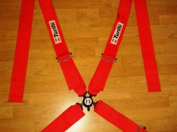 Arnes turini homologado hasta 2016 - 70€