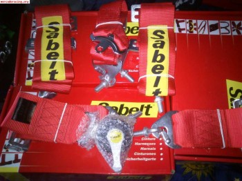 Arneses sabelt 4 y 6 puntos fia 2018