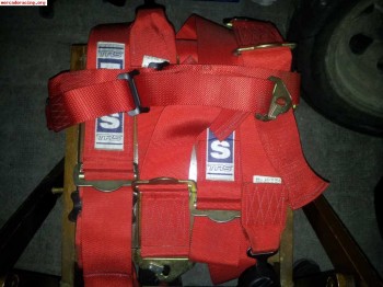 Arneses 6 puntos con homologacion hasta 2016