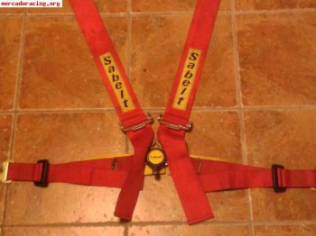 Se vende arnes caducado