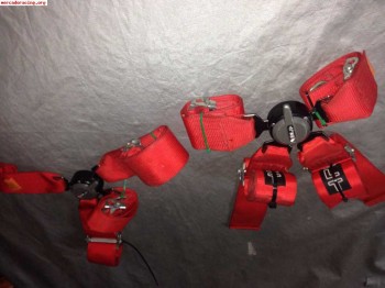 Juego de arneses homologacion caducada