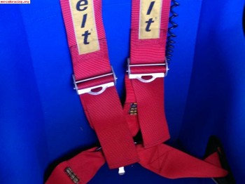 Vendo arneses caducados en 2013 sabelt 4 puntos 70 euros