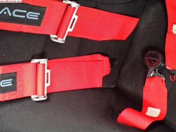 Pareja arneses gp race