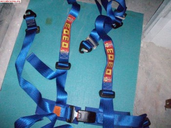 Vendo pareja de arneses azules momo y extintor