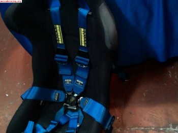 Sparco evo y arnes scorth 6 puntos