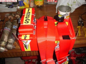 Arnes sabelt 6 puntos