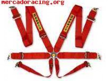 Arneses sabelt de 6 puntos rojos 2006