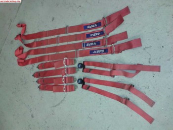 Pareja de arneses 6 puntos