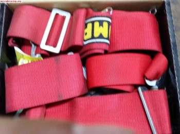 Arneses omp 6 puntos caducados