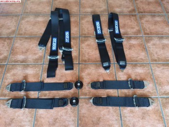Arneses sparco fia