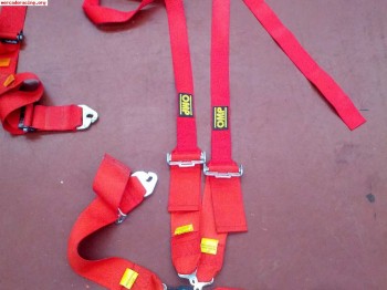 Arnes omp 4 puntos para hans valido hasta 2017