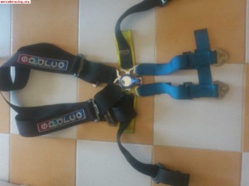 Vendo 2 arneses de 6 puntos