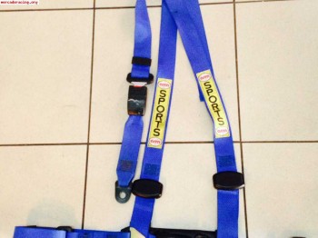 Arnes calle arm desmontable parte trasera 