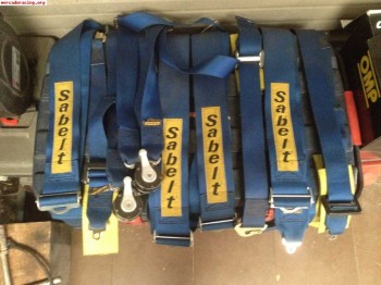 Arnes sablet 6 puntos