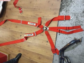 Pareja de arneses lico