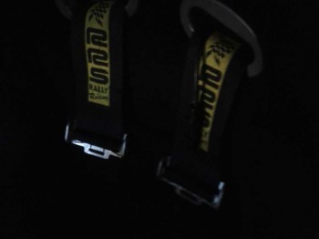 Se vende pareja arneses rrs 90 euros