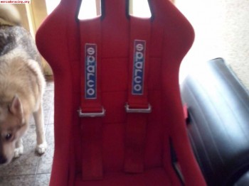 Se busca baquet sparco sprint rojo