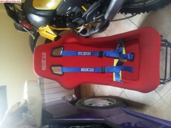 Vendo pareja backets y arneses 200€