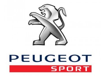 Vendo mono sparco del desafio 206