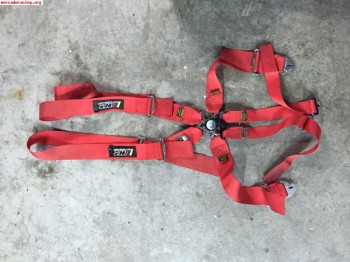 Arnés 6 puntos nuevos.