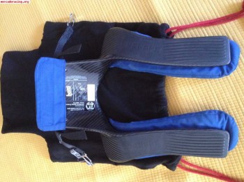 Hans schroth carbono