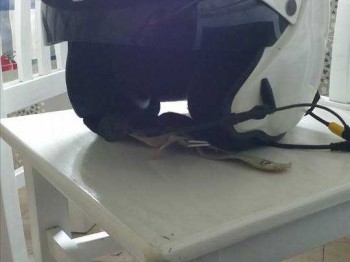 Se vende casco sparco adv jet