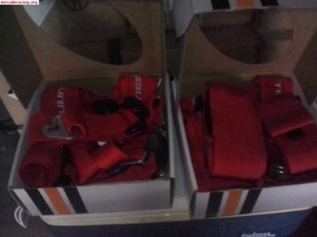 Se venden arneses de 6 puntos