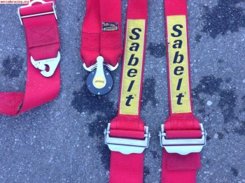 Arnes sabelt 6 puntos.