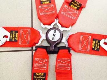 Arnes  competición srs 6 puntos