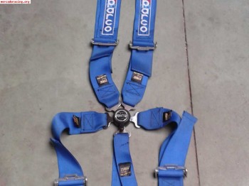 Arneses sparco caducados