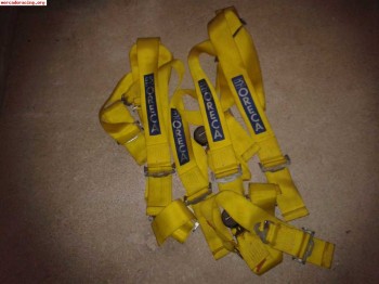 Arneses oreca 50 € 4 puntos