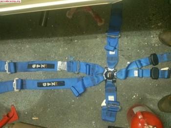 2 arneses de 6 puntos