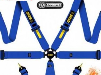 Arneses 6 puntos rrs