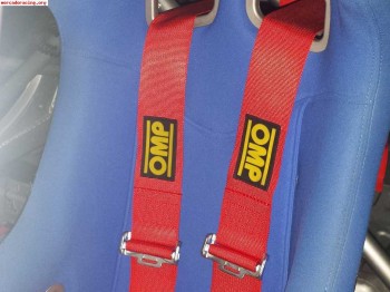 Arnes omp de 6 puntos 