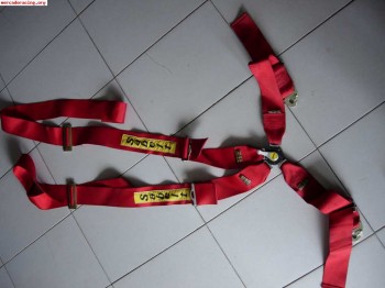 Arnes sabetl caducado.